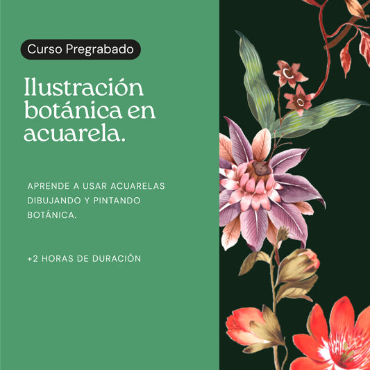 Ilustración Botánica en Acuarela